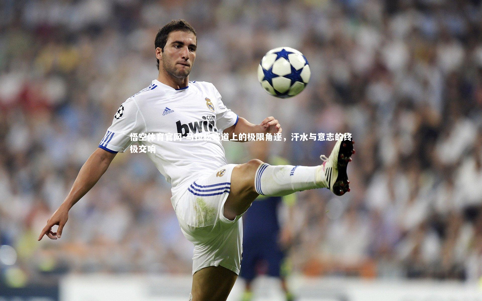 马拉松赛道上的极限角逐，汗水与意志的终极交响