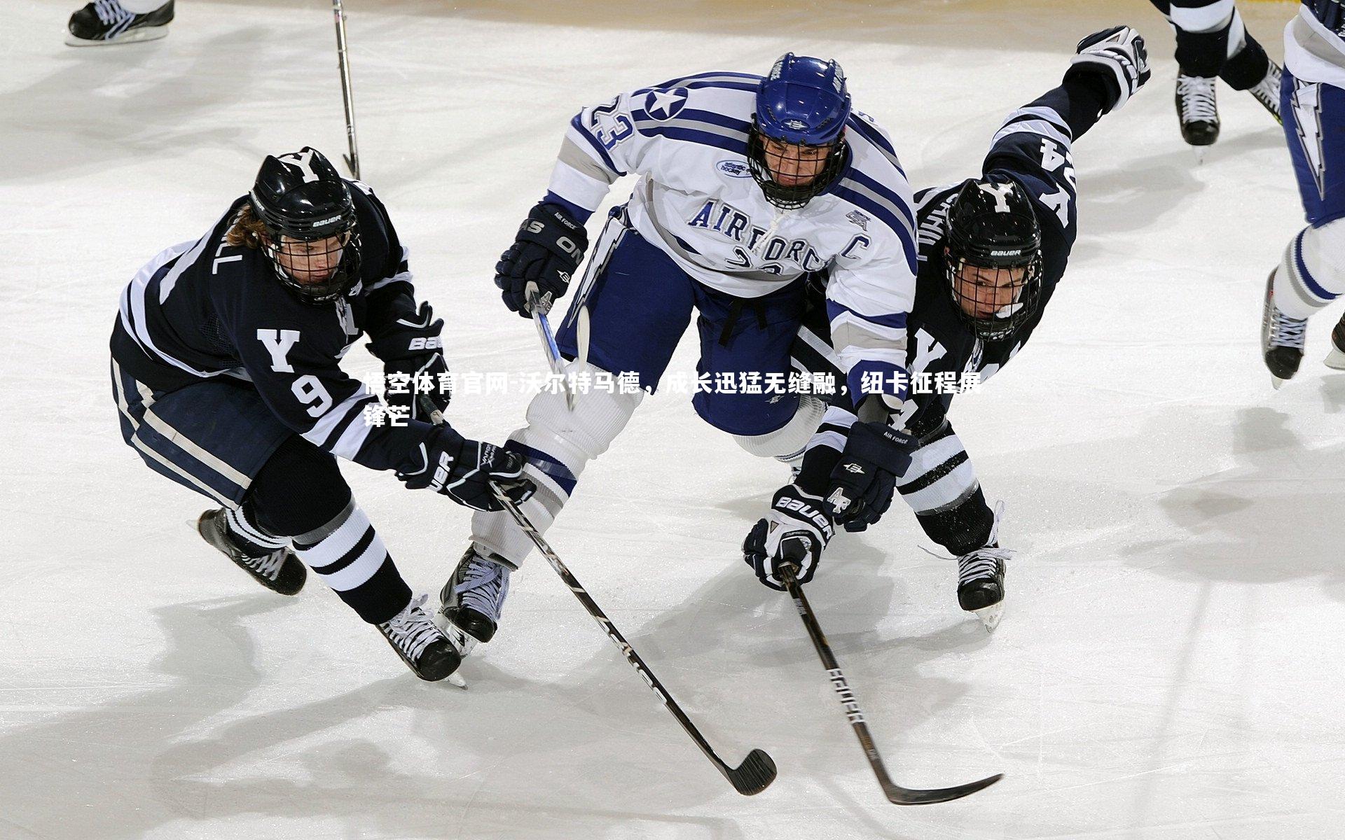 沃尔特马德，成长迅猛无缝融，纽卡征程展锋芒